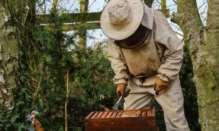 Beekeepers Work At Night beekeepers work hives at night