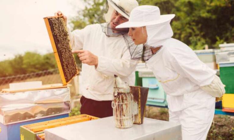 How does beekeeping help the economy