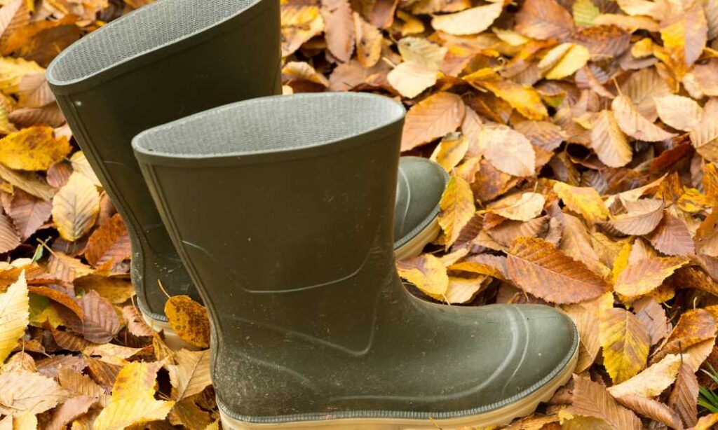 The Best Shoes for Beekeeping are wellington boots